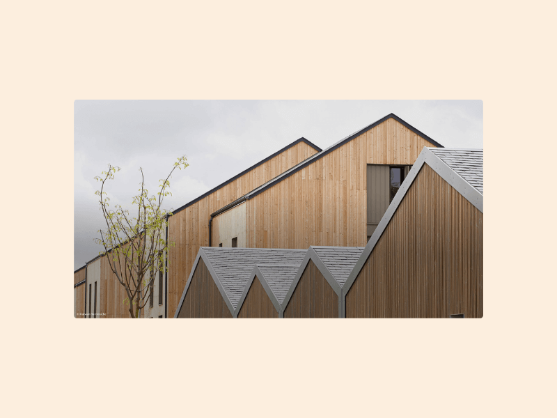 recrutement filiere bois